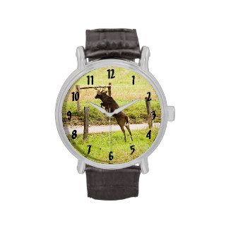 Whitetail Buck Animal 8 Point Jumping Hunting Watch