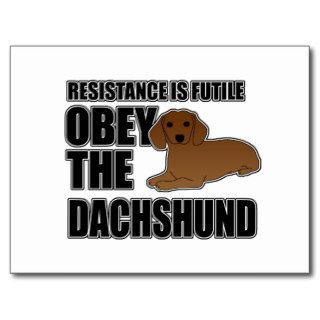 Obey The Dachshund Post Cards