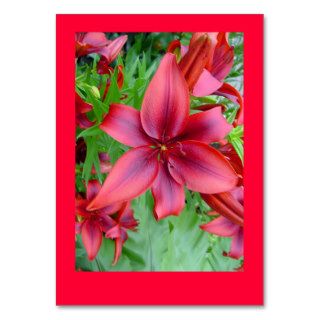 Lily   Iridescent Red (Luke 1215) Tract Cards / Business Card