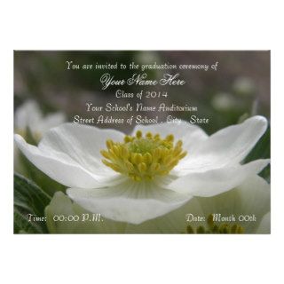 May Flower Anemone Graduation Announcements