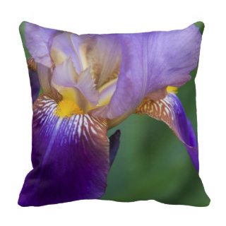 Iris Love Pillows
