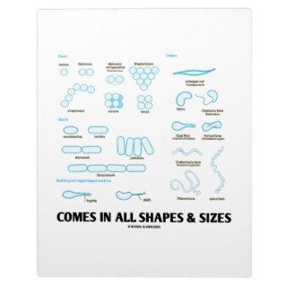 Comes In All Shapes & Sizes (Bacterial Morphology) Photo Plaque