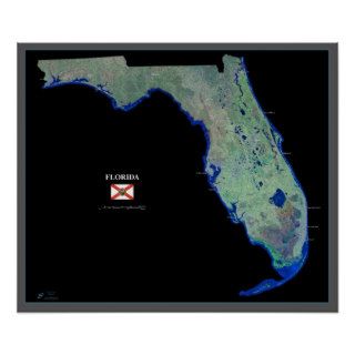Florida space satellite poster