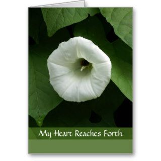 Condolence Sympathy Card With White Flower