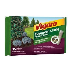 VIGORO 4.2 lb. Evergreen and Holly Fertilizer Spikes (15 Count) 253208