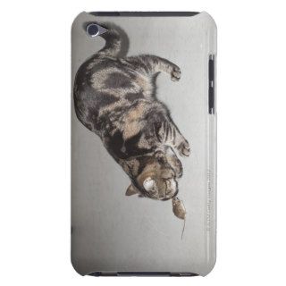 A cat and mouse facing each other barely there iPod covers