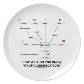 How Well Do You Know Virus Classification? Plate