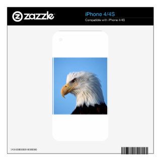 Eagle Looking Ahead iPhone 4 Skin