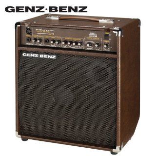 Genz Benz Shenandoah SHEN JRLT 45 Watt 1x 10 Acoustic Guitar Amplifier (SHEN JRLT) and Planet Waves/GO DPS 16 Pick Sampler (PW SAMPLER) Musical Instruments