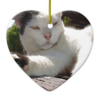Black and White Bicolor Cat Lounging on A Park Ben Christmas Ornaments