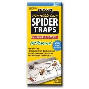 Harris Spider Traps with 25 Irresistible Lures (2 Pack) STRP