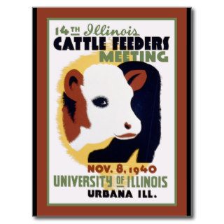 Urbana Illnois Cattle Feeding Poster Post Cards