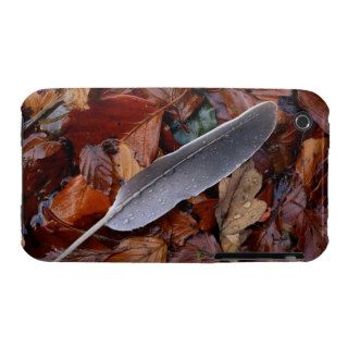 Wood Pigeon Feather Amongst Fallen Leaves iPhone 3 Covers