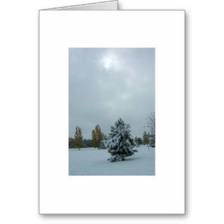 Boulder, Colorado Winter Greeting Card