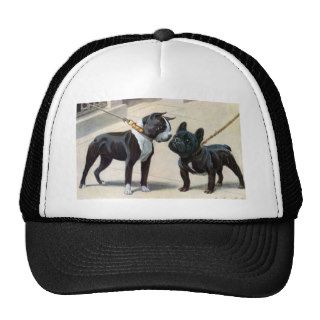 Boston Terrier  & French Bulldog Mesh Hats