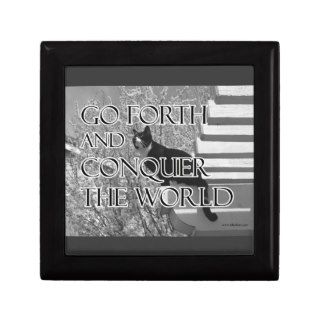Go Forth and Conquer Motivational Cat Keepsake Box