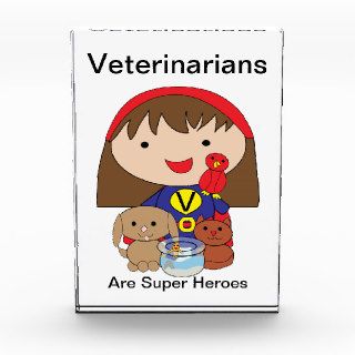 Veterinarians Are Super Heroes Award