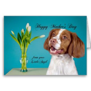 Funny Brittany Mother's Day Card
