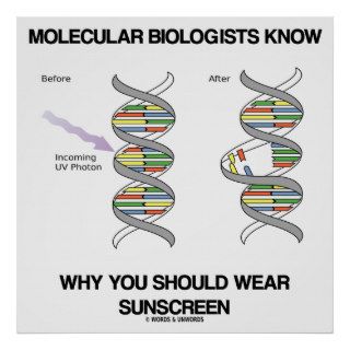 Molecular Biologists Know Why You Wear Sunscreen Posters