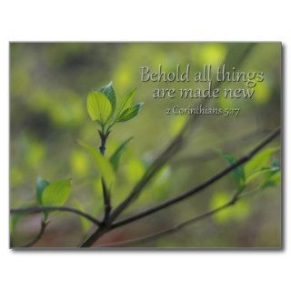 2 Corinthians 517 Behold all things new Post Card