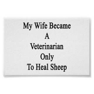 My Wife Became A Veterinarian Only To Heal Sheep Poster