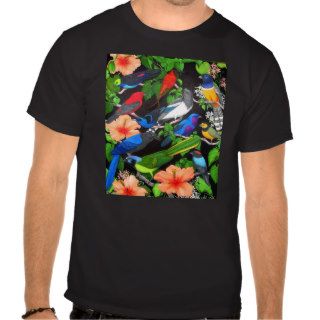 Tropical Birds of Mexico T Shirt