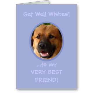 Funny Get Well Dog Custom Photo Card
