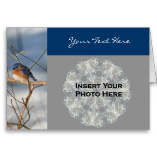 Bluebird In Winter Nature Photo Card