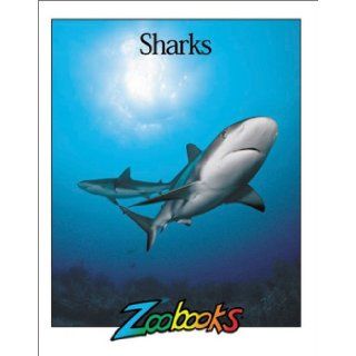 Sharks (Zoobooks Series) John Bonnett Wexo 9780937934159 Books