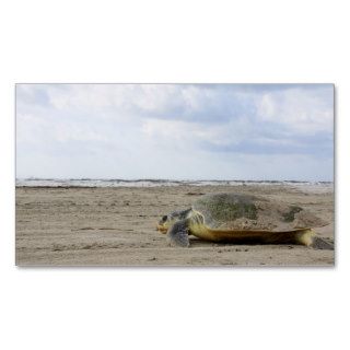 Kemps ridley sea turtle 2 business card