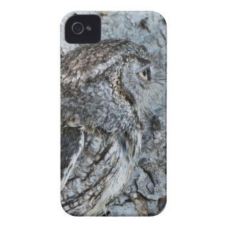Camouflaged Screech Owl  (Captive) 2 iPhone 4 Cover