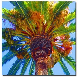 Trademark Fine Art 35 in. x 35 in. Palm Tree Canvas Art AV008 C3535GG