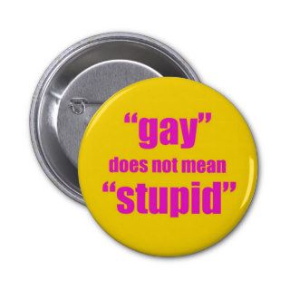Gay does not mean stupid pin