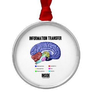 Information Transfer Inside (Brain Anatomy) Christmas Tree Ornament