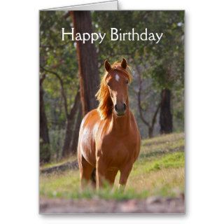 Beautiful chestnut horse photo birthday card