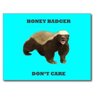 Honey Badger Don't Care On Aquamarine Turquoise Postcards