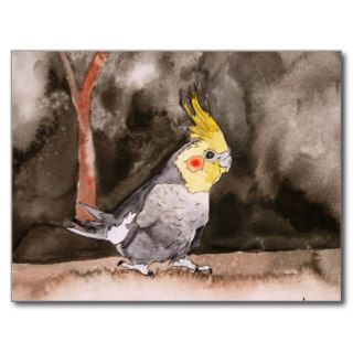 cockatiel bird painting postcards