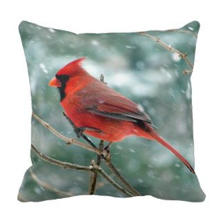 Cardinal in the Snow Photo Throw Pillow