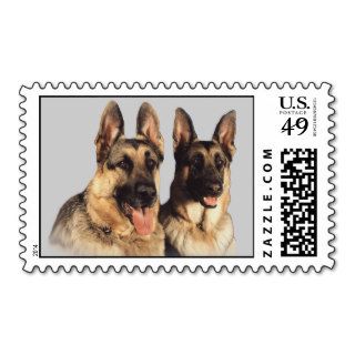 German Shepherd Postage Stamp