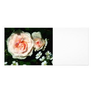 Pale Pink Roses in Garden Rack Card Design