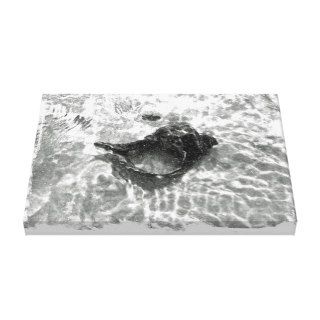 Black Seashell In The Ocean's Wash   Black & White Gallery Wrap Canvas