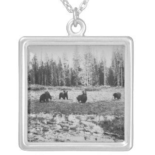 Eight Bears in Yellowstone National Park Pendant