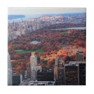 A view above Autumn in Central Park 01 Ceramic Tiles
