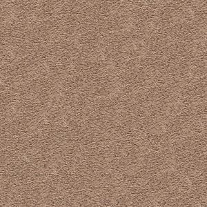 SoftSpring Envious II   Color Timberline 12 ft. Carpet 0335D 31 12