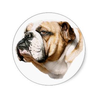 Bulldog Bust Round Stickers