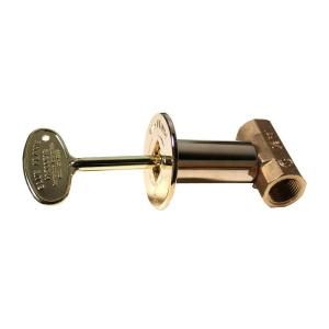 Blue Flame Straight Gas Valve Kit Includes Brass Valve, Floor Plate & Key in Polished Brass BF.S.PB.HD