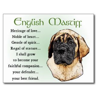 English Mastiff Art Gifts Postcards