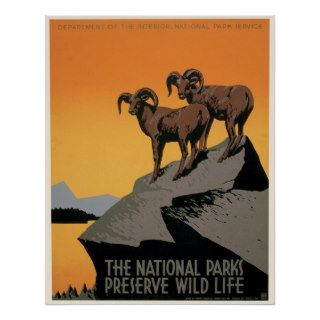 The National Parks Preserve Wildlife Posters