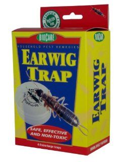 BioCare Earwig Trap, Reusable  Insect Traps  Patio, Lawn & Garden