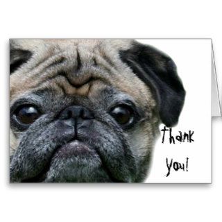 Thank You pug greeting card